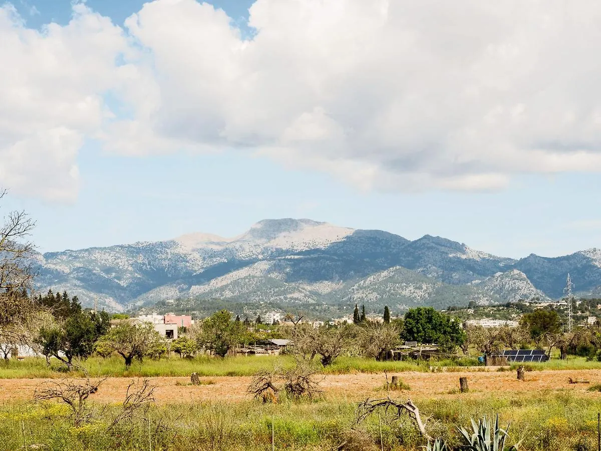 Ca Na Marlis. Nature&Relax Inca  Holiday home Inca (Mallorca)